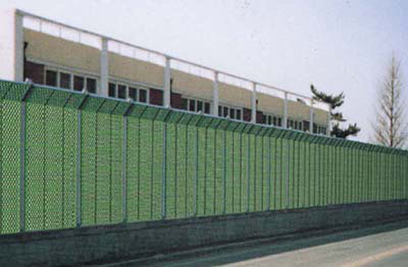 05.jpg