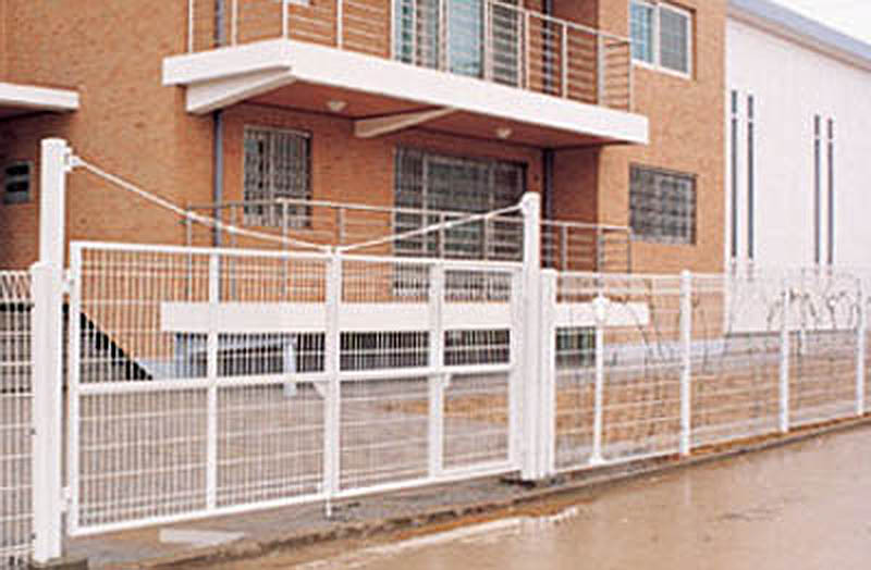 06.jpg