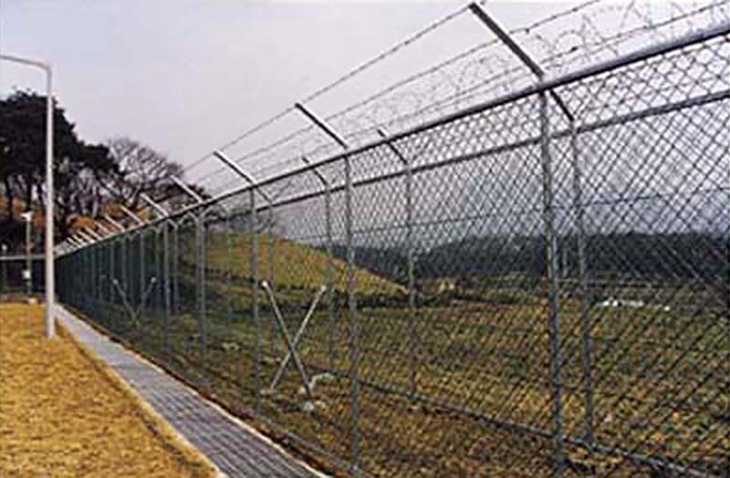 08.jpg