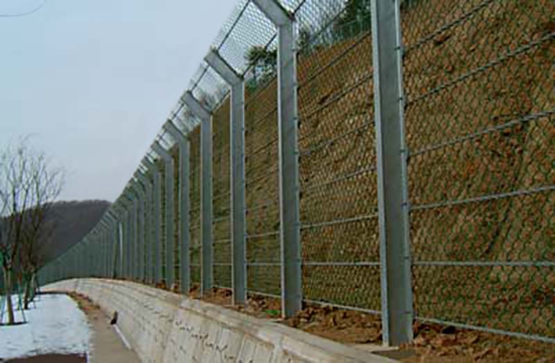 05.jpg